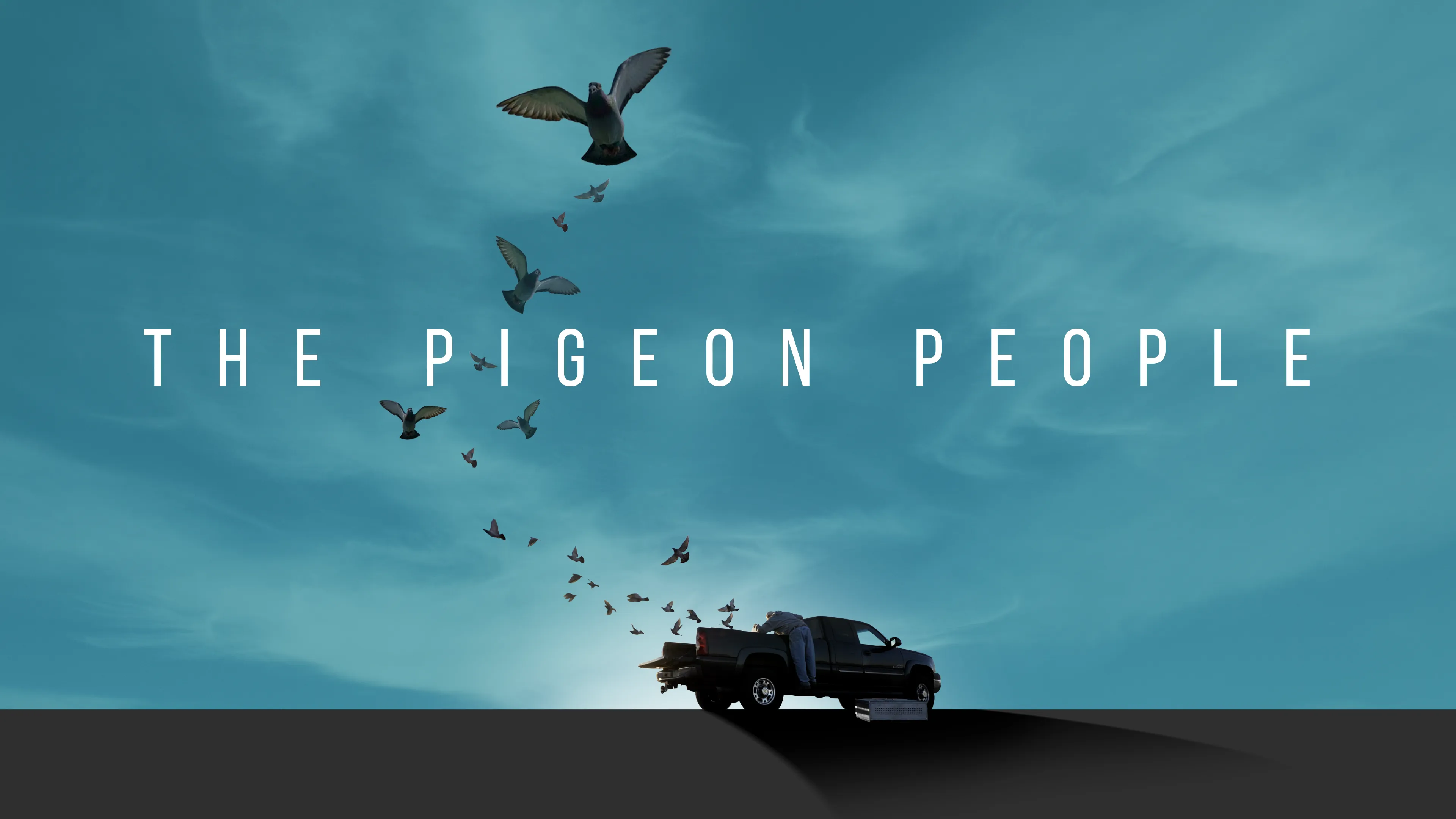 The Pigeon People poster